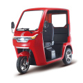 Low Speed Lectric Cabin Tricycle with Roof Canopy